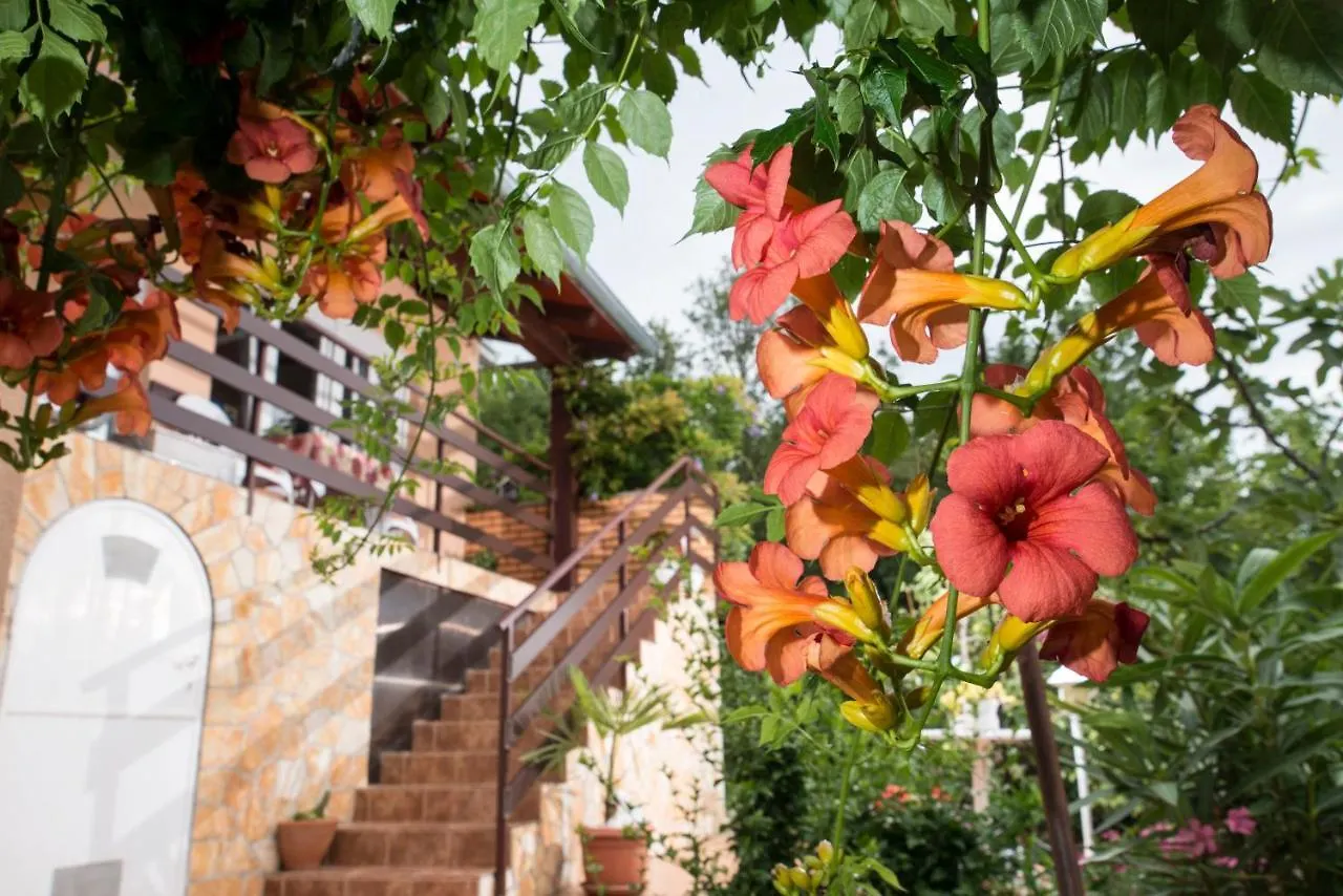 Apartment Alba ميدفيجا