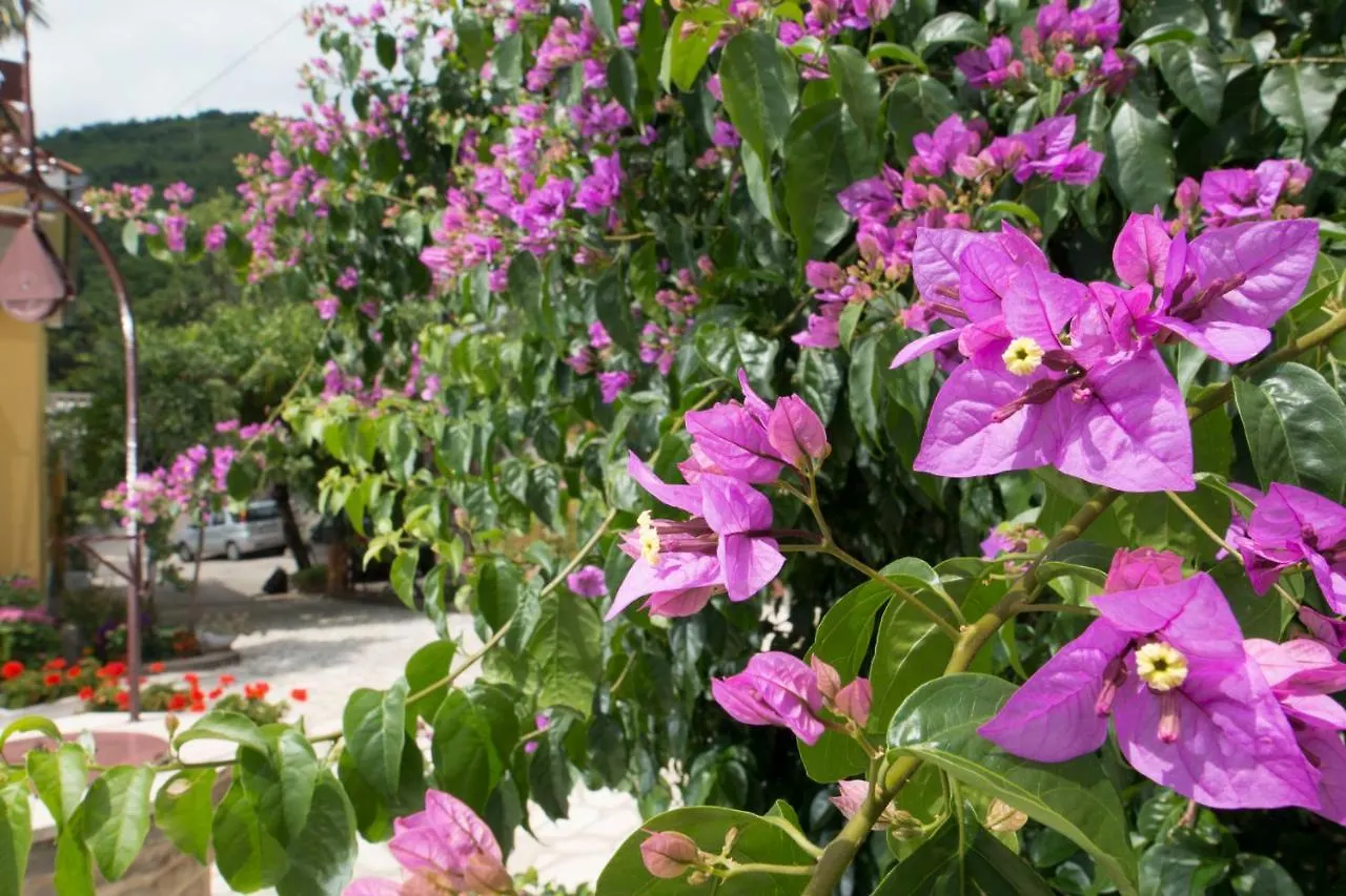 Apartment Alba ميدفيجا